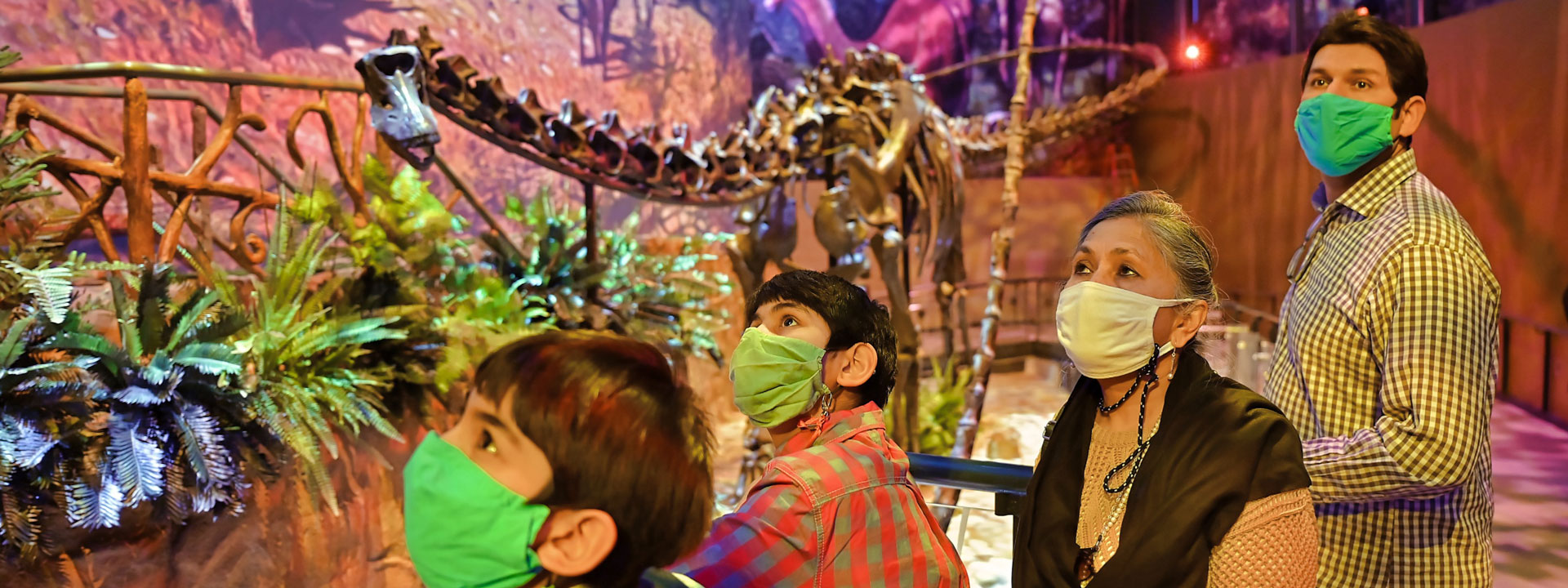 A group of people wearing masks and looking towards the left of the photo with a sauropod peering overhead behind them inside the Giants of the Jurassic area in the new Dinosphere at The Children's Museum of Indianapolis.