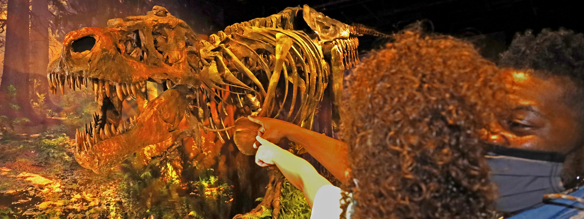 See SUE the T. rex in the SUE Meets Bucky exhibit at The Children's Museum of Indianapolis