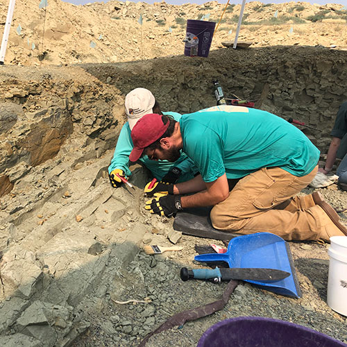 Digging at The Jurassic Mile in Wyoming