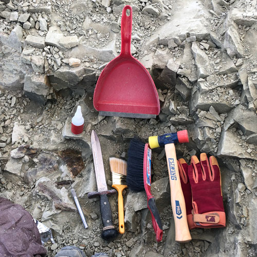 Tools used to dig dinosaur neck bones at The Jurassic Mile