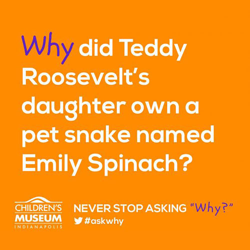 Why did Alice Roosevelt own a pet snake named Emily Spinach?