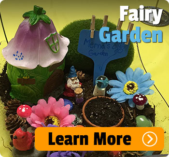Fairy Garden.