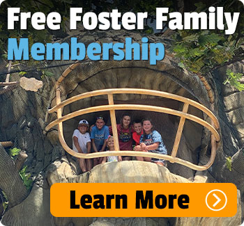 Free Foster Family Membership.
