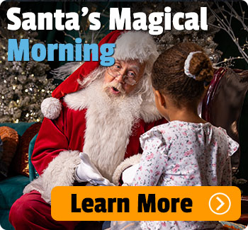 Santa's Magical Morning.