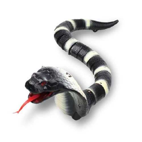 Black and white remote control slithering snake.