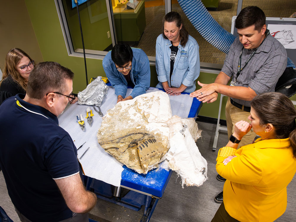 People standing around the Allosaurus snout fossil inside the Paleo Lab.