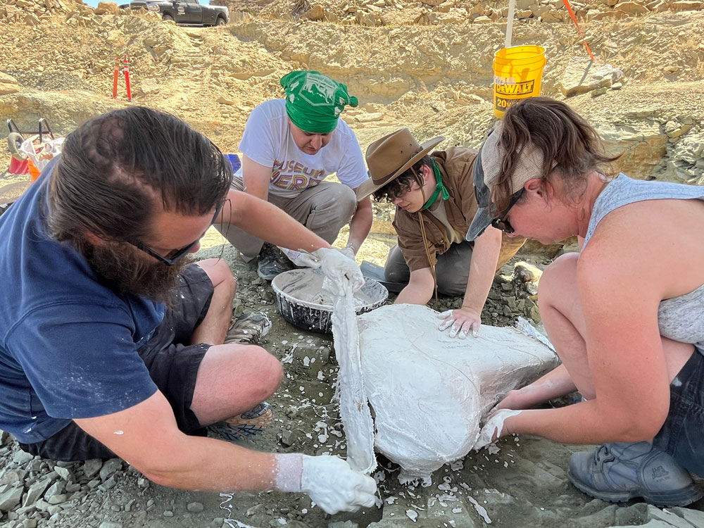 Paleontology team working on a field jacket at the dig site in Wyoming.